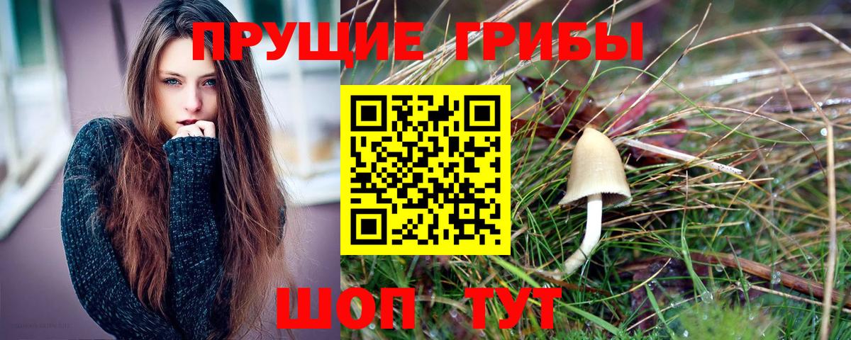 Псилоцибиновые грибы Psilocybe  Вход с VPN  Балашиха 